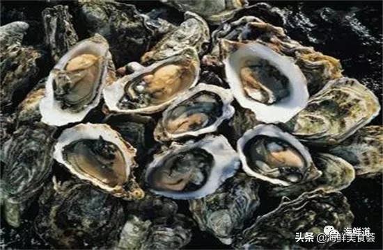 海鲜种类有哪些最好吃的是哪种（市场常见的102种海鲜）(85)