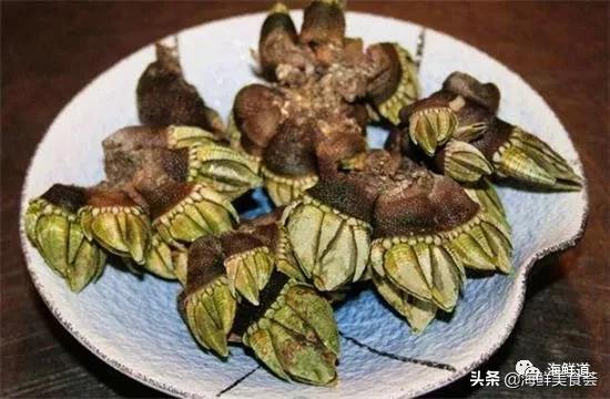 海鲜种类有哪些最好吃的是哪种（市场常见的102种海鲜）(53)