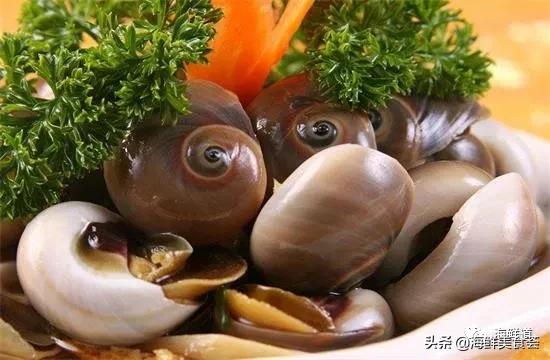 海鲜种类有哪些最好吃的是哪种（市场常见的102种海鲜）(99)