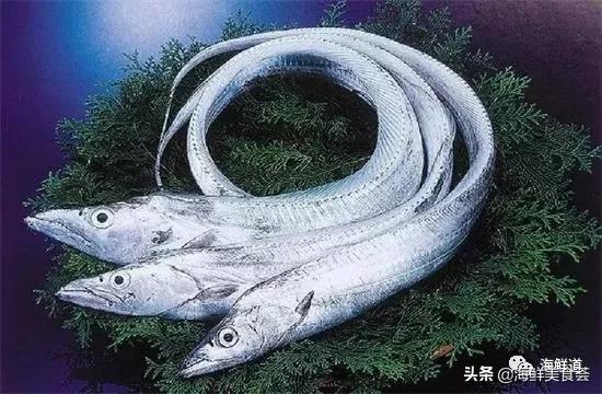 海鲜种类有哪些最好吃的是哪种（市场常见的102种海鲜）(60)