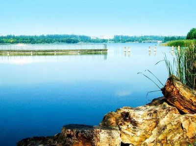 ​合肥旅游景点排行榜前十名（合肥著名景点推荐）