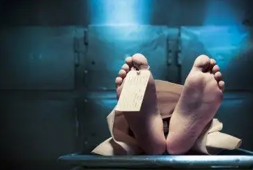 头七祭是什么意思 (祭拜头七要说什么)-图8