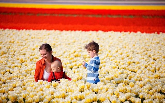 亚马逊代购中文站是正品吗？ 如何找到有保证的靠谱代购？