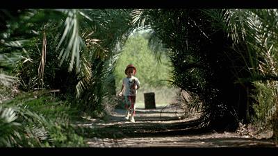 母女二人“共侍一夫”，只因缺爱