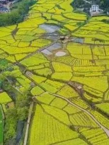 ​长方形的面积等于(长方形的面积等于多少)