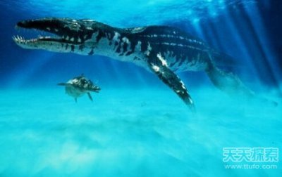 ​揭秘地球史前那些超级怪兽 完爆霸王龙