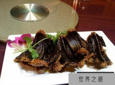 ​动物世界蛇的天敌大盘点，蛇獴只能算第二(第一竟是它)