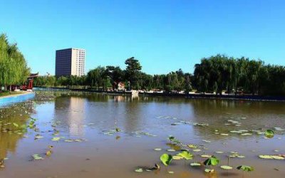 ​泊头市是属于哪个城市(河北泊头属于哪个市)