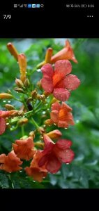 ​北上广深哪个城市最好(北上广深哪个城市最适合居住?)