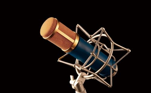 播音主持艺考考什么内容(中考播音主持艺考需要什么条件)  第1张