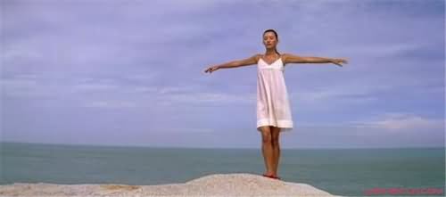 一半海水一半火剧照