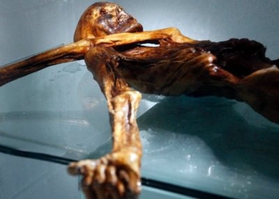 ​最新研究揭秘冰人奥茨身世 糅合文化改造武器求存