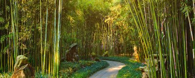 ​望江楼门票多少 望江楼门票多少钱