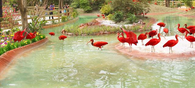 广州长隆到底哪个乐园好玩（广州长隆五大主题乐园怎么玩）(58)