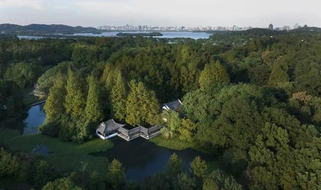 杭州十大好吃餐厅（杭州最好吃餐厅排行榜）(46)