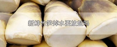 ​新鲜竹笋焯水要放盐吗
