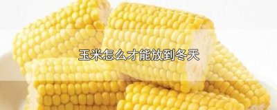 ​玉米怎么才能放到冬天
