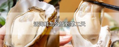 ​活海鲜怎么放到第二天