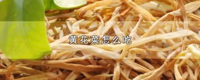​黄花菜怎么吃