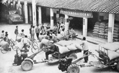 ​农民交公粮，什么意思？你参与过吗？