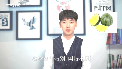 ​3月份特小凤西瓜产地在哪里 广东特小凤西瓜在什么产地