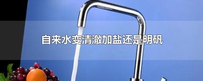 ​自来水变清澈加盐还是明矾