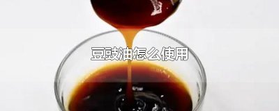 ​豆豉油怎么使用