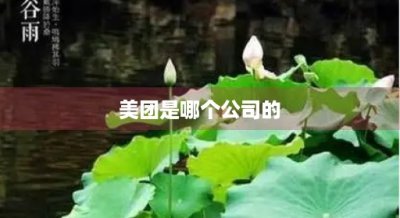 ​美团是哪个公司的