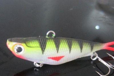 ​叉尾路亚钓法