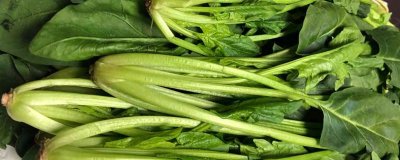 ​青菜怎样腌制咸菜 家常青菜的腌制方法