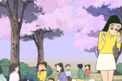 ​红狐娜娜和中野大结局