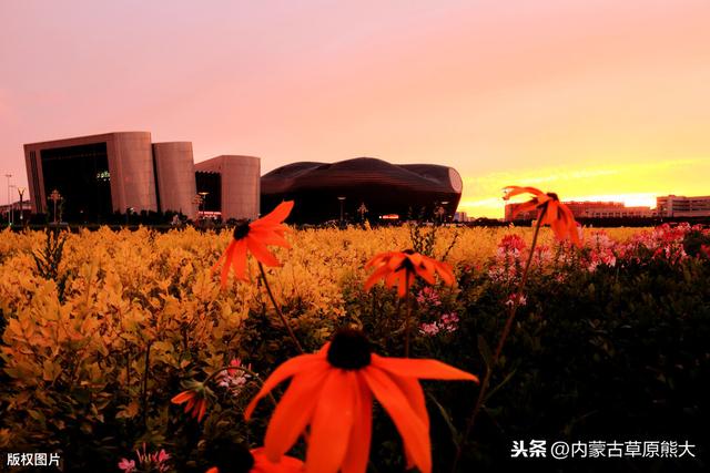 内蒙康巴什新区（浅谈内蒙古鄂尔多斯康巴什新区）(2)