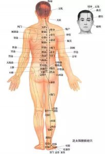 ​跟我学中医 - 足太阳膀胱经循行路线及图解