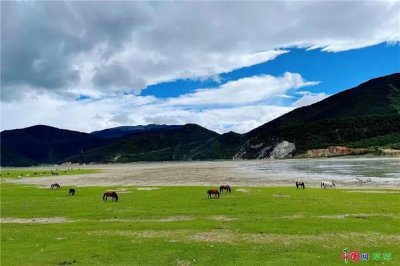 ​相约香格里拉，在纳帕海依拉草原沉醉清凉一夏