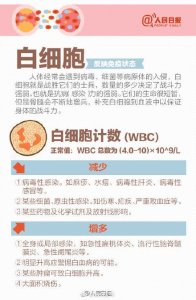 ​实用！9图教你看懂血常规化验单