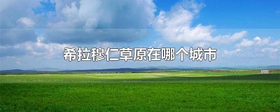 ​希拉穆仁草原在哪个城市 希拉穆仁草原位于哪里