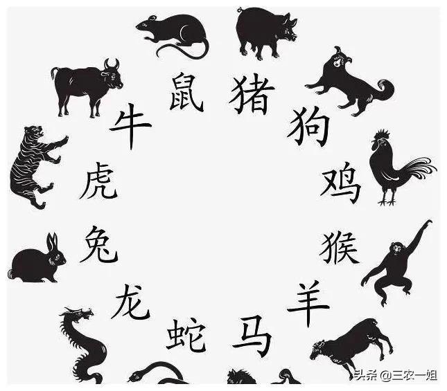 立春躲春能睡觉吗（打春可以睡觉吗）(图4)