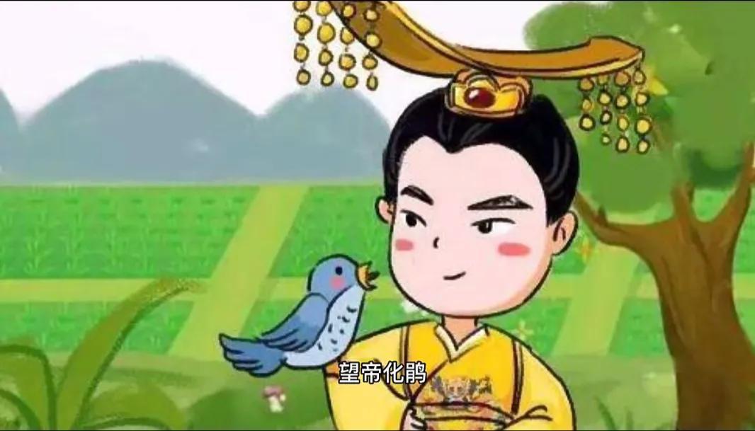 布谷鸟(布谷鸟为什么叫“布谷、布谷”) 布谷鸟(布谷鸟为什么叫“布谷、布谷”)