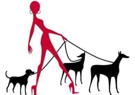 家里的狗狗咬了人！以前常听老人说咬人的狗不能留，得打死它