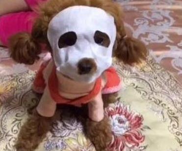 男士美白面膜测评实测第一名（男士面膜推荐）(2)