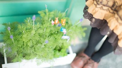 ​丐帮历代帮主排名(中国现在还有丐帮吗)