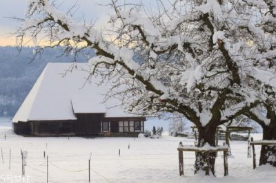 ​冬季养生保健必须知道的那点事