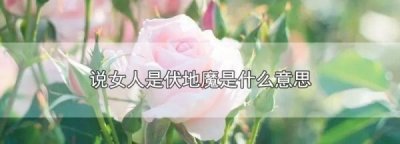 ​伏地魔是什么意思,形容女人伏地魔是什么意思