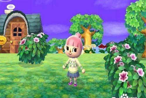 动森怎么拿到气球上的礼物,动森商店卖的气球有什么用图3