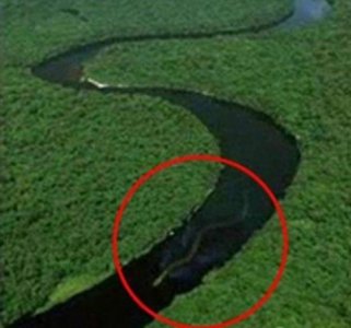 ​民间大蛇成蛟的真实故事