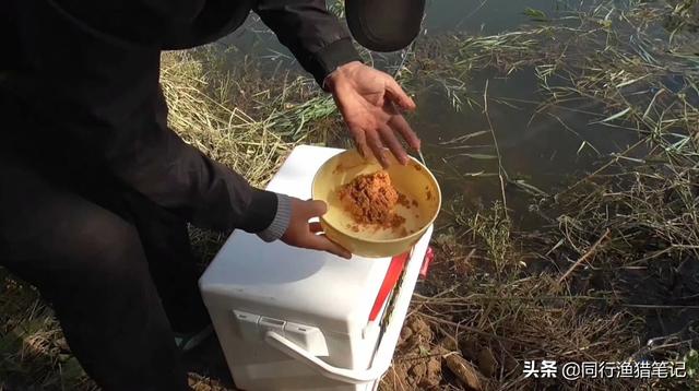 钓鲤鱼正确的方法（五个技巧送给你）(4)