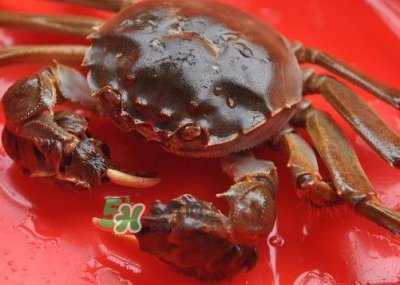 ​大闸蟹可以带上高铁吗？坐高铁可以带大闸蟹吗？