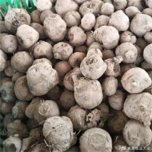 ​魔芋是什么东西？为什么魔芋丝是白的，魔芋块是黑的？