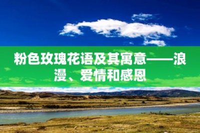 ​粉色玫瑰花语及其寓意——浪漫、爱情和感恩