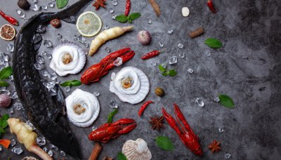 ​中华鲟是淡水鱼还是海水鱼